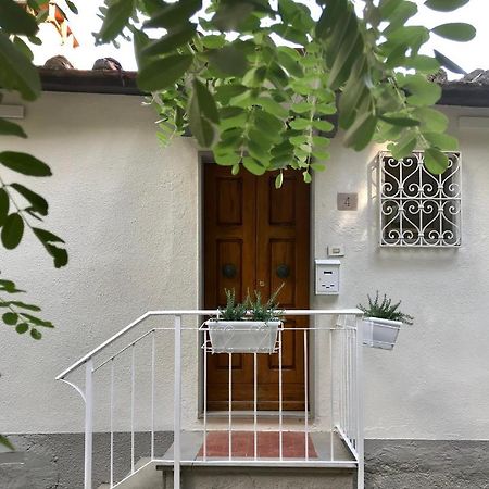 Villa Rustico Rosmarino Castiglion Fiorentino Exterior foto